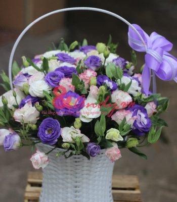 Ngày mới nhẹ nhàng Ngày mới nhẹ nhàng